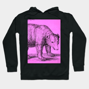 Pinkbear Antique Engraving Hoodie